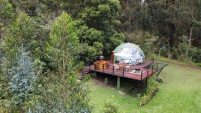 MAUNA Glamping